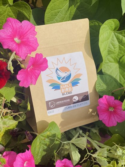 Early Bird Blend Whole Bean Specialty Coffee - PRE-ORDERS - Image 2