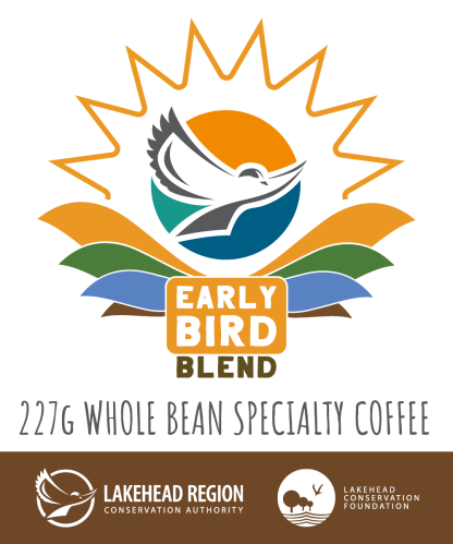 Early Bird Blend Whole Bean Specialty Coffee - PRE-ORDERS